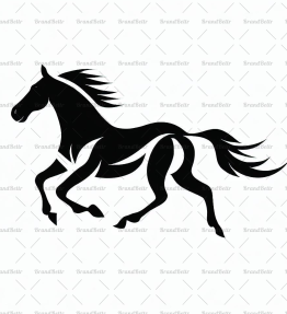 Galoppierendes Pferd